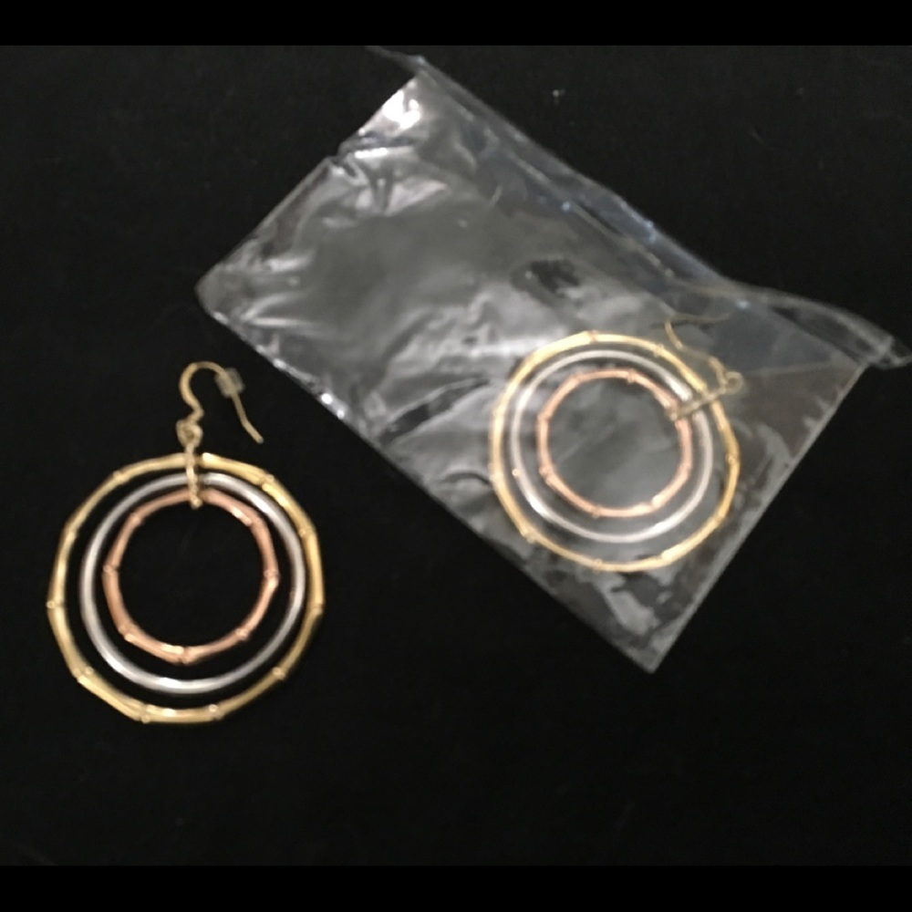 Park Lane Bamboo earrings. Never worn